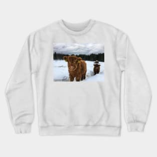 Scottish Highland Cattle Calves 1613 Crewneck Sweatshirt